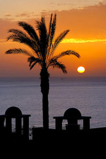 Sunset - Vincci La Plantacion del Sur