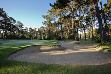Large fairway bunker overlooked by umbrella pines on Aroeira Pines Classic course
