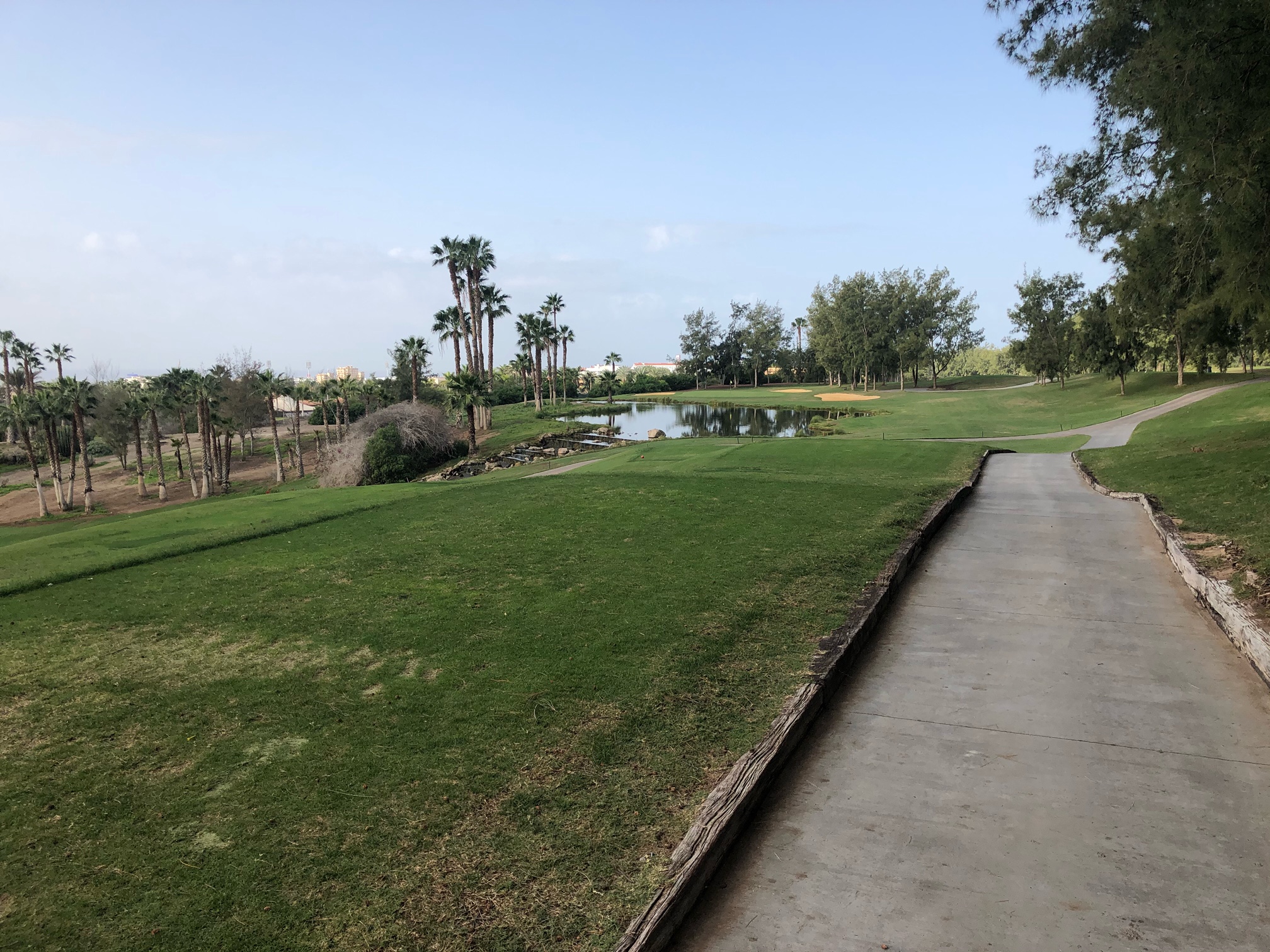 Las Americas Golf