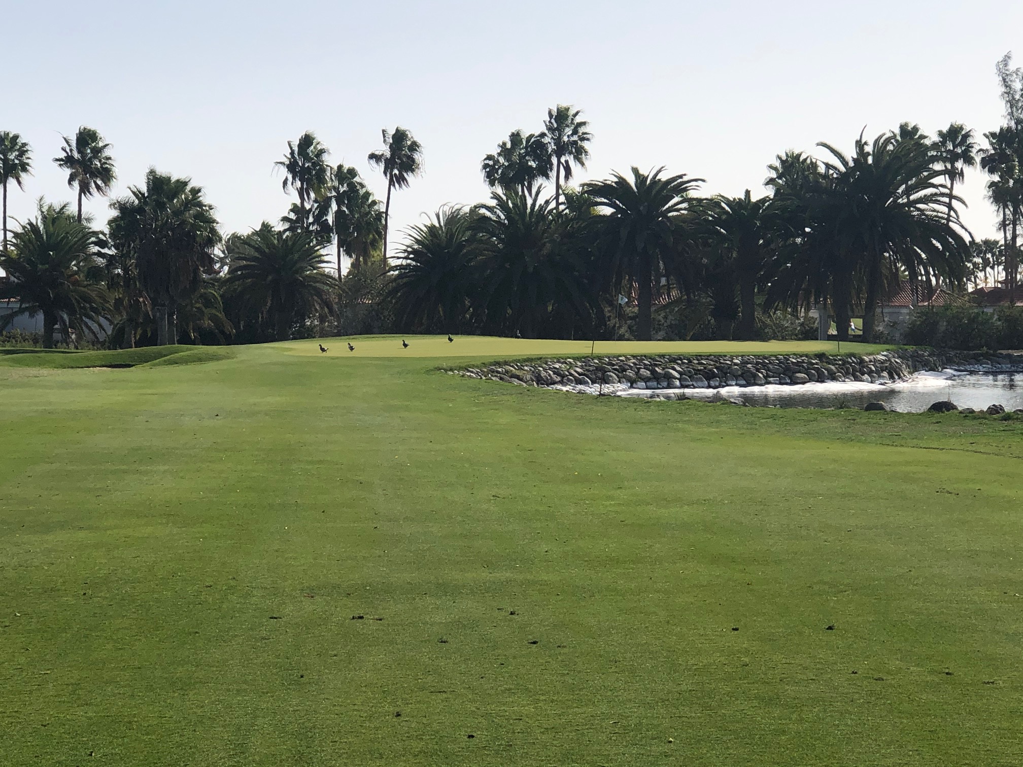 Maspalomas Golf