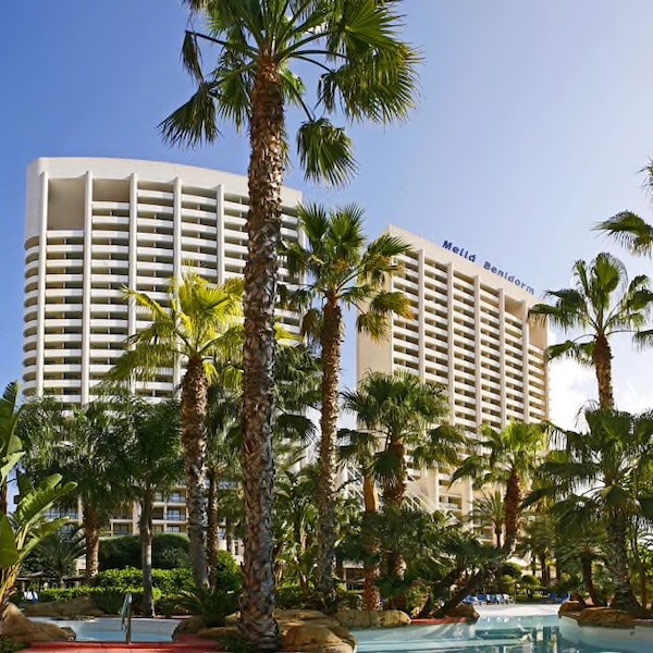 Melia Benidorm Hotel with palms in foreground