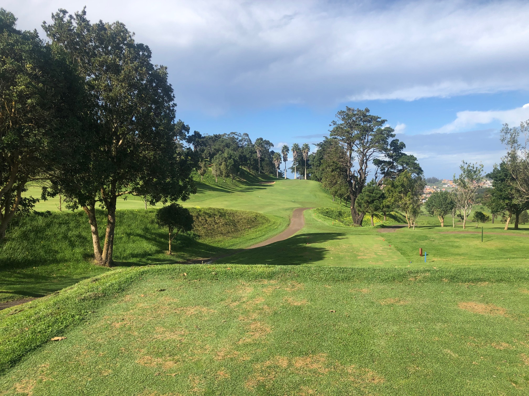 Real Tenerife Golf