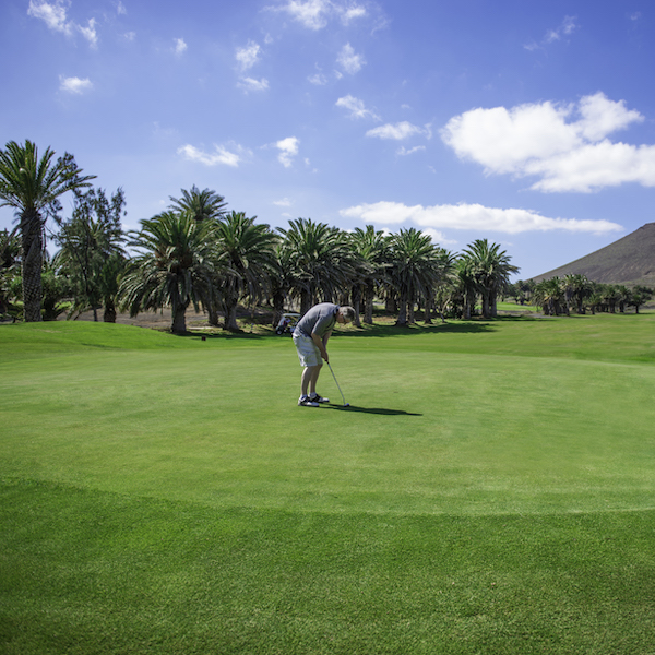 Golfer putting on Costa Teguise Golf, Lanzarote