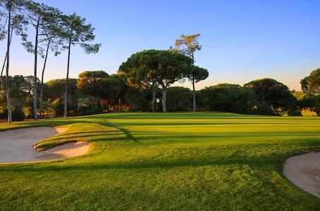 Pines line the fairway on the Old Course