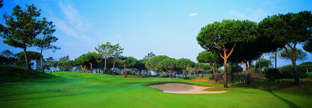 Umbrella pines line this hole on Pestana Vila Sol Golf Course