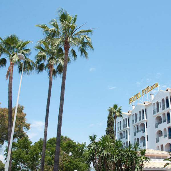 Palm trees at entrance to Pyr Marbella Hotel