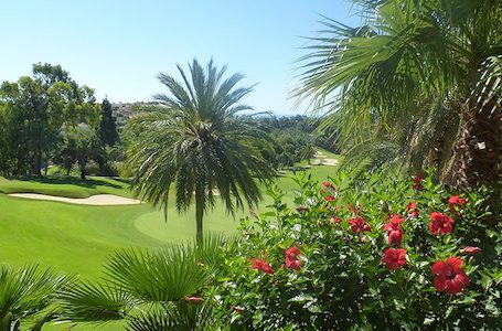 Hibiscus and palm trees line this fairway on Torrequebrada Golf