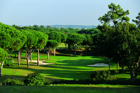 Challenging approach to the green