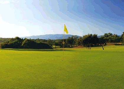 Views of Morgado golf course