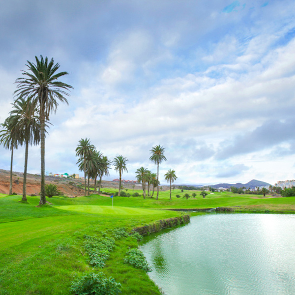 Palm trees and water surround this hole on El Cortijo Golf, Gran Canaria