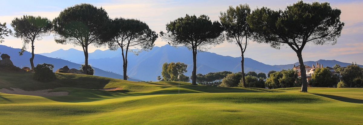 Umbrella Pines line the La Cala Asia Golf Course