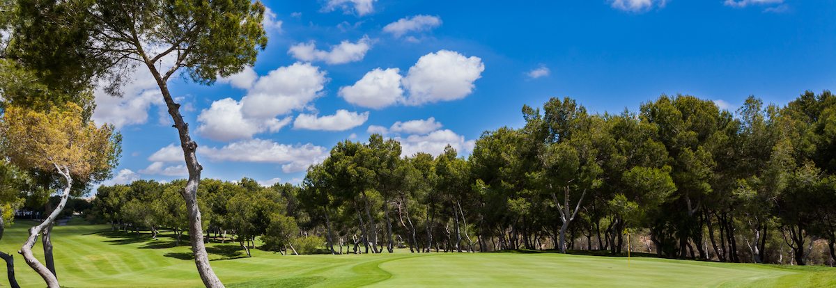 18th green on Las Ramblas Golf