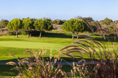 View from the long grass surrounding green