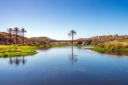 Scenic water hole at Calanova Golf