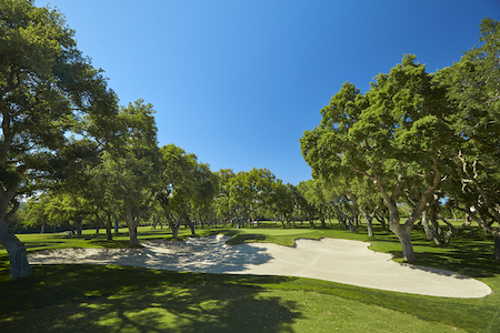 El Bunker - the 8th hole at Real Club Valderrama
